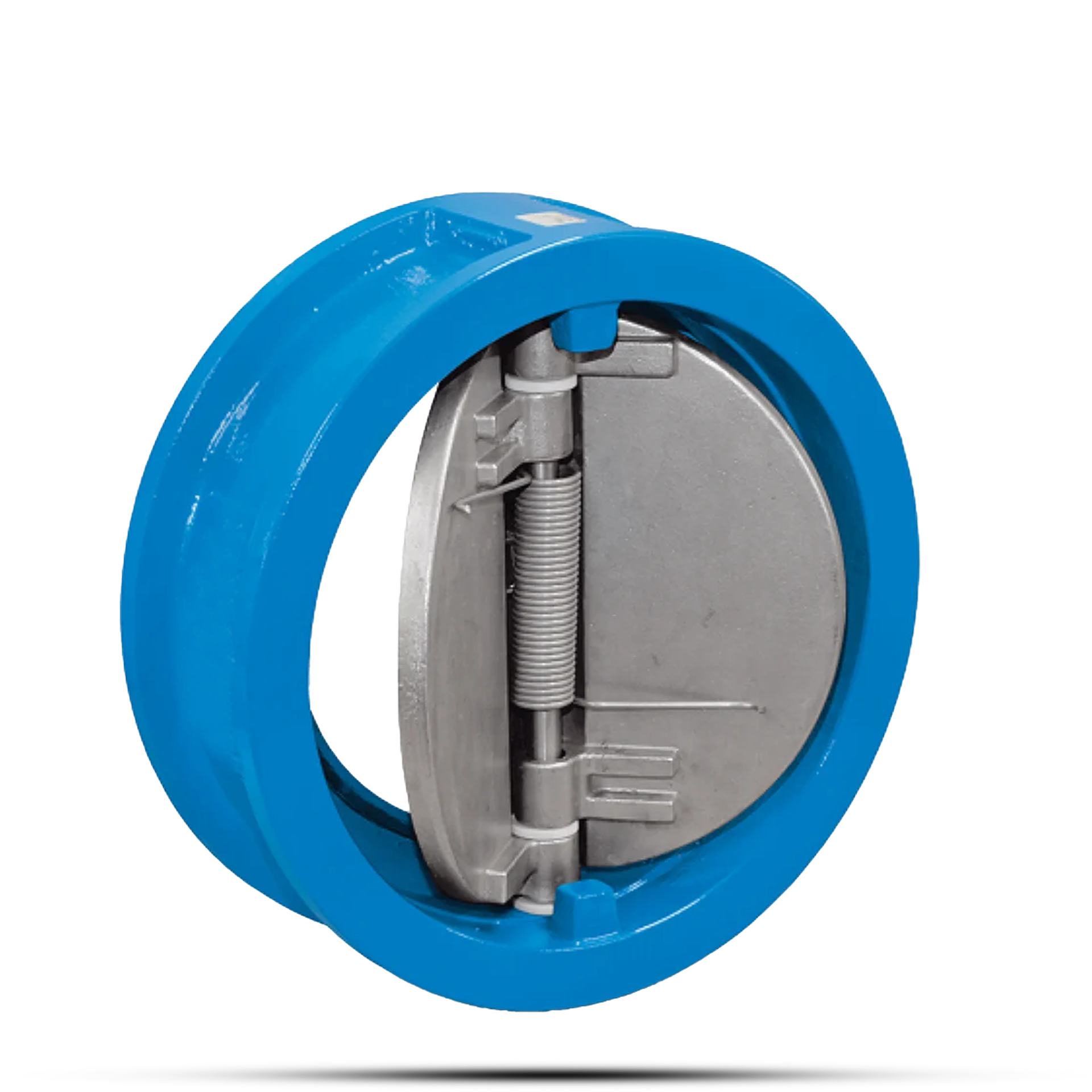 Dual Plate Check Valves