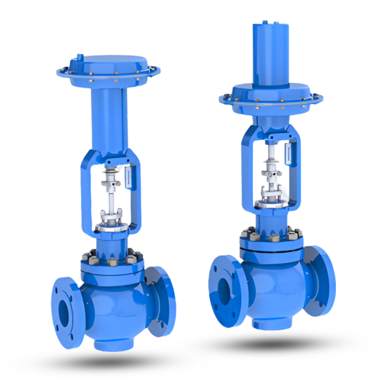 Globe 2 Way Control Valve