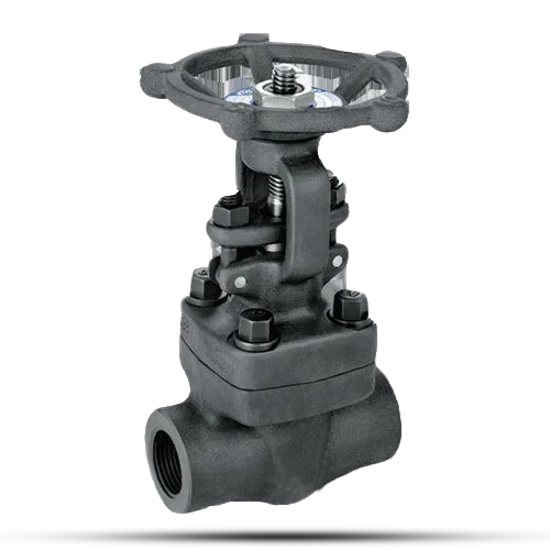 Forged Valves